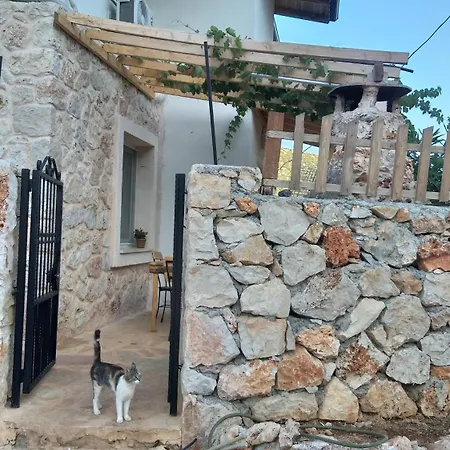 Apartment Galabaapart Kas